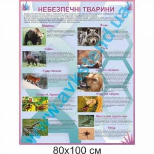 купити Стенд
