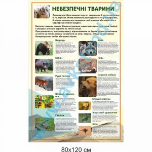 купити Стенд