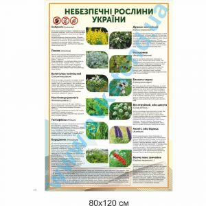 купити Стенд