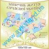 купити Стенд