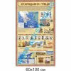 купити Стенд