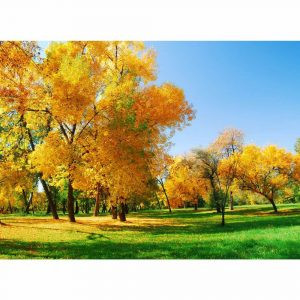 купити Фотошпалери