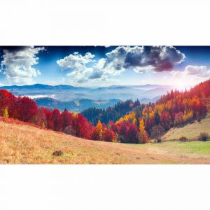 купити Фотошпалери