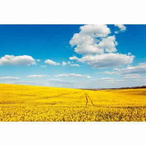 купити Фотошпалери