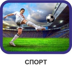 Спорт