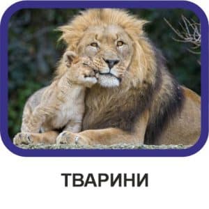 Тварини