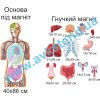 купити Стенд