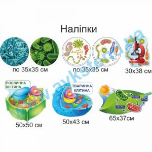 купити Наліпка