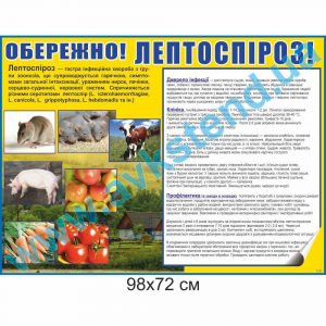 купити Стенд