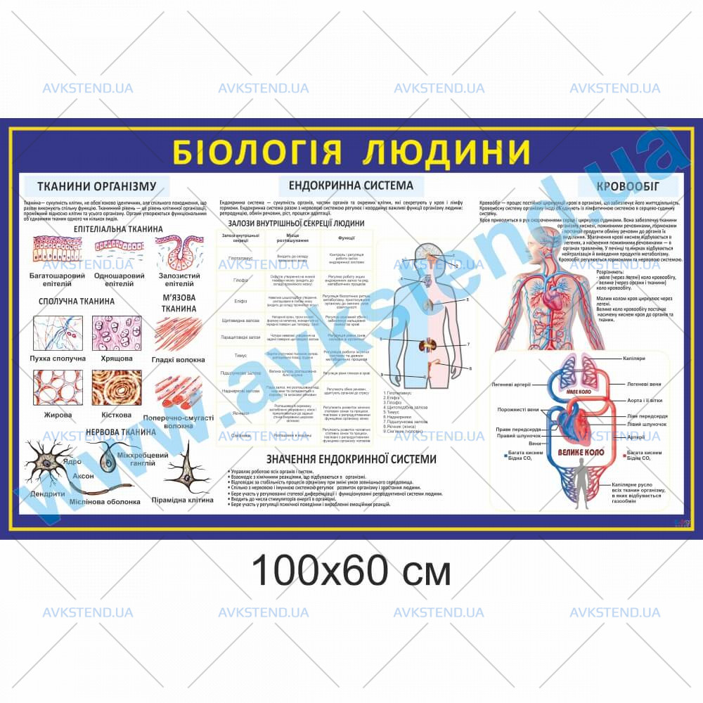 купити Стенд
