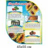 купити Стенд
