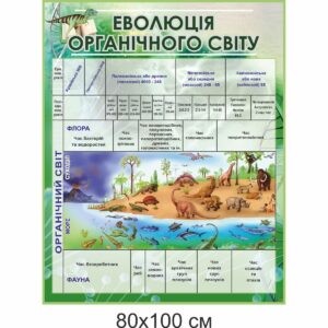 биология, биологические стенды, біологія, біологічні стенди, стенди для кабінету біології, стенды для кабинета биологии, стенди для кабінету біології купити, кабінет біології, стенди для шкільних кабінетів замовити, стенды для кабинета биологии купить, кабинет биологии, стенды для школьных кабинетов заказать, кабінет біології, Україна, Украина, стенди для школи купити, стенди для школи замовити, стенди для кабінету, стенди для шкільного кабінету, оформлення кабінетів, оформлення шкільного кабінету, стенды для школы купить, стенды для школы заказать, стенды для кабинета, стенды для школьного кабинета, Україна, Украина, еволюція органічного світу