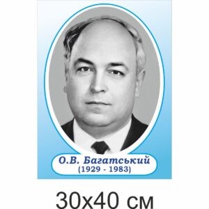 стенди з хімії, стенди для оформлення кабінету хімії,стенди у шкільний кабінет хімії, стенды по химии, стенды для оформления кабинета химии, стенды в школьный кабинет химии, Україна, Украина, відомі хіміки, вчені, Багатський