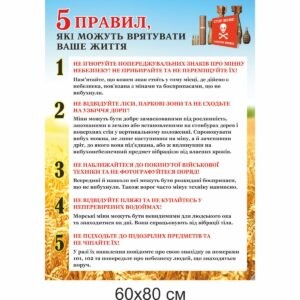 Безпека життєдіяльності, клас безпеки, ОБЖ, стенди в клас безпеки, міни, деокупація, вибухонебезпечні предмети, повернення додому, дивись під ноги, розмінування; мины, деоккупация, взрывоопасные предметы, возвращение домой, смотри под ноги, разминирование;