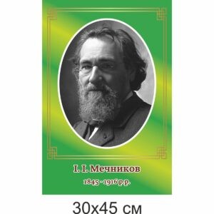 биология, биологические стенды, біологія, біологічні стенди, стенди для кабінету біології, стенды для кабинета биологии, стенди для кабінету біології купити, кабінет біології, стенди для шкільних кабінетів замовити, стенды для кабинета биологии купить, кабинет биологии, стенды для школьных кабинетов заказать, кабінет біології, Україна, Украина, стенди для школи купити, стенди для школи замовити, стенди для кабінету, стенди для шкільного кабінету, оформлення кабінетів, оформлення шкільного кабінету, стенды для школы купить, стенды для школы заказать, стенды для кабинета, стенды для школьного кабинета, Україна, Украина, вчені, біологи Мечников