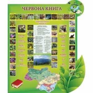 биология, биологические стенды, біологія, біологічні стенди, стенди для кабінету біології, стенды для кабинета биологии, стенди для кабінету біології купити, кабінет біології, стенди для шкільних кабінетів замовити, стенды для кабинета биологии купить, кабинет биологии, стенды для школьных кабинетов заказать, кабінет біології, Україна, Украина, стенди для школи купити, стенди для школи замовити, стенди для кабінету, стенди для шкільного кабінету, оформлення кабінетів, оформлення шкільного кабінету, стенды для школы купить, стенды для школы заказать, стенды для кабинета, стенды для школьного кабинета, Україна, Украина, рідкісні тварини, мапа рідкісних тварин планети, тварини червоної книги; редкие животные, карта редких животных планеты, животные красной книги;