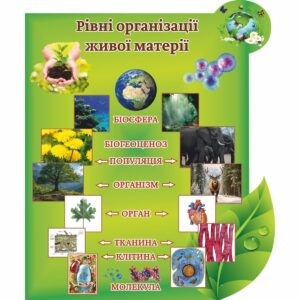 биология, биологические стенды, біологія, біологічні стенди, стенди для кабінету біології, стенды для кабинета биологии, стенди для кабінету біології купити, кабінет біології, стенди для шкільних кабінетів замовити, стенды для кабинета биологии купить, кабинет биологии, стенды для школьных кабинетов заказать, кабінет біології, Україна, Украина, стенди для школи купити, стенди для школи замовити, стенди для кабінету, стенди для шкільного кабінету, оформлення кабінетів, оформлення шкільного кабінету, стенды для школы купить, стенды для школы заказать, стенды для кабинета, стенды для школьного кабинета, Україна, Украина, рівні організації живої природи,