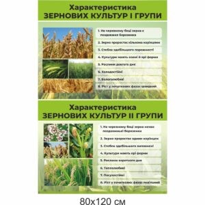 стенди купити, стенди замовити, стенди Україна, стенди для внз, стенди для вищої освіти, стенди для професійної освіти, аграрна освіта, сільське господарство, сільськогосподарська освіта, зернові культури, вирощування зернових культур