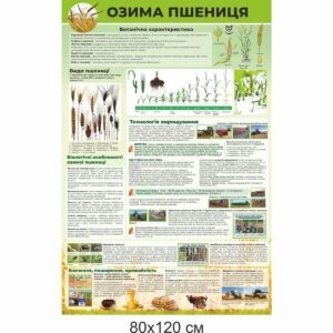 стенди купити, стенди замовити, стенди Україна, стенди для внз, стенди для вищої освіти, стенди для професійної освіти, аграрна освіта, сільське господарство, сільськогосподарська освіта, зернові культури, вирощування зернових культур, шкідники, озима пшениця