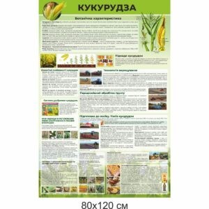 стенди купити, стенди замовити, стенди Україна, стенди для внз, стенди для вищої освіти, стенди для професійної освіти, аграрна освіта, сільське господарство, сільськогосподарська освіта, зернові культури, вирощування зернових культур, шкідники, кукурудза