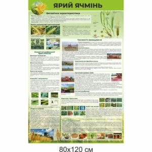 стенди купити, стенди замовити, стенди Україна, стенди для внз, стенди для вищої освіти, стенди для професійної освіти, аграрна освіта, сільське господарство, сільськогосподарська освіта, зернові культури, вирощування зернових культур, шкідники, ярий ячмінь
