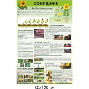 стенди купити, стенди замовити, стенди Україна, стенди для внз, стенди для вищої освіти, стенди для професійної освіти, аграрна освіта, сільське господарство, сільськогосподарська освіта, зернові культури, вирощування зернових культур, шкідники, соняшник