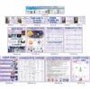 стенди для кабінету фізики, стенди для оформлення кабінету фізики, стенды для кабинета физики, стенды для оформления кабинета физики, Україна, Украина, стенди для школи купити, стенди для школи замовити, стенди для кабінету, стенди для шкільного кабінету, оформлення кабінетів, оформлення шкільного кабінету, стенды для школы купить, стенды для школы заказать, стенды для кабинета, стенды для школьного кабинета, Україна, Украина, шкала електромагнітних хвиль, куточок техніки безпеки, класний куток, таблиця степенів, значення тригонометричних функцій деяких кутів, фізичні сталі, префікси одиниць вимірювання, основні фізичні формули, міжнародна система одиниць СІ, шкала электромагнитных волн, уголок техники безопасности, классный уголок, таблица степеней, значения тригонометрических функций некоторых углов, физические сталые, приставки, префиксы единиц, основные физические формулы, международная система единиц СИ, Приставки і множники для утворення десяткових і дольних одиниць, Техника и множители для образования десятичных и дольных единиц, густина речовини, плотность вещества, правила поведінки учнів у кабінеті фізики, правила поведения учащихся в кабинете физики, густина, енергія, маса та вага, тиск,звук, потужність, формули, інформація, плотность, энергия, масса и вес, давление, звук, мощность, формулы, информация, Україна, Украина, техніка безпеки, портрети фізиків, відомі фізики, науковці